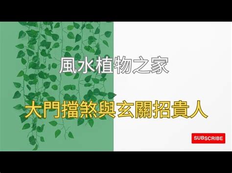 擋煞植物 辦公室|2022這3種辦公室植物風水一定要知道！推薦招財、防。